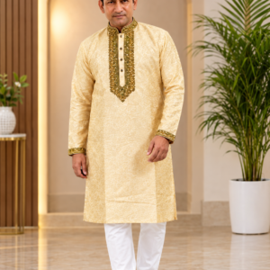Premium Malai Katan Party Panjabi for Men — FF 100